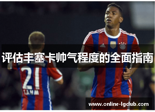 评估丰塞卡帅气程度的全面指南 评估丰塞卡帅气程度的全面指南